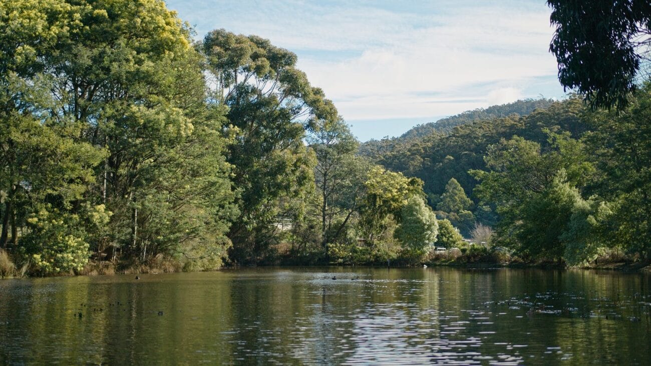 P6K2ALEXA POWERGRADE AND LUTS (12)