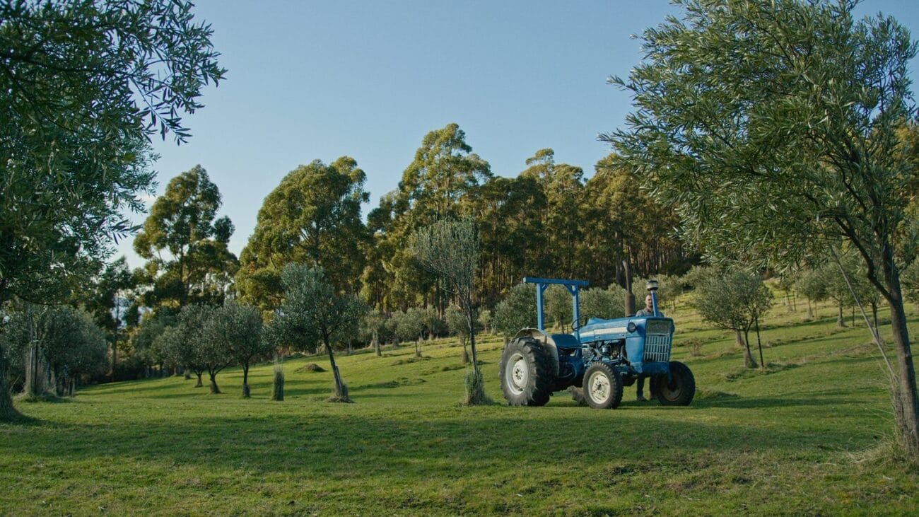 P6K2ALEXA POWERGRADE AND LUTS (20)