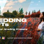 Colorify Wedding LUTs