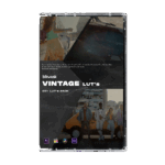 Blindusk Vintage LUTs
