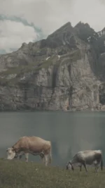 Ultimate Film Emulation LUTs and Power Grades Pack