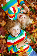 The Friends Collection