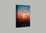 MapleVisuals – 12 Cinematic LUTs Pack