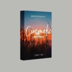 MapleVisuals – 12 Cinematic LUTs Pack