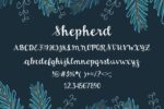 25 Christmas Fonts