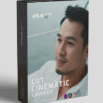 FREE – Lut Lowkey Cinematic