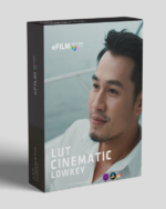 FREE – Lut Lowkey Cinematic