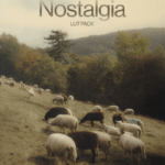 Julian Papis Nostalgia LUT Pack