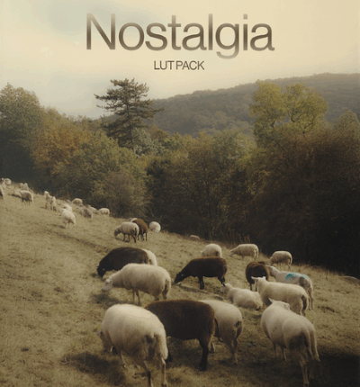Julian Papis Nostalgia LUT Pack