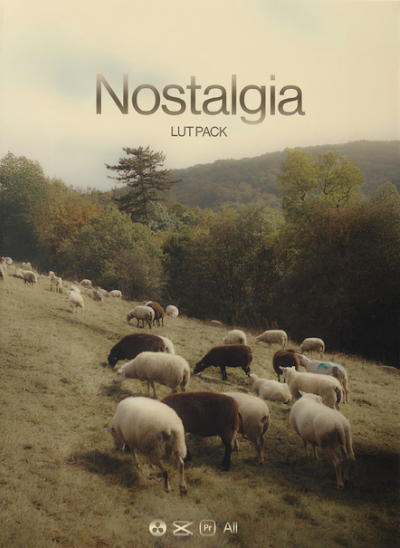 Julian Papis Nostalgia LUT Pack Julian Papis Nostalgia LUT Pack