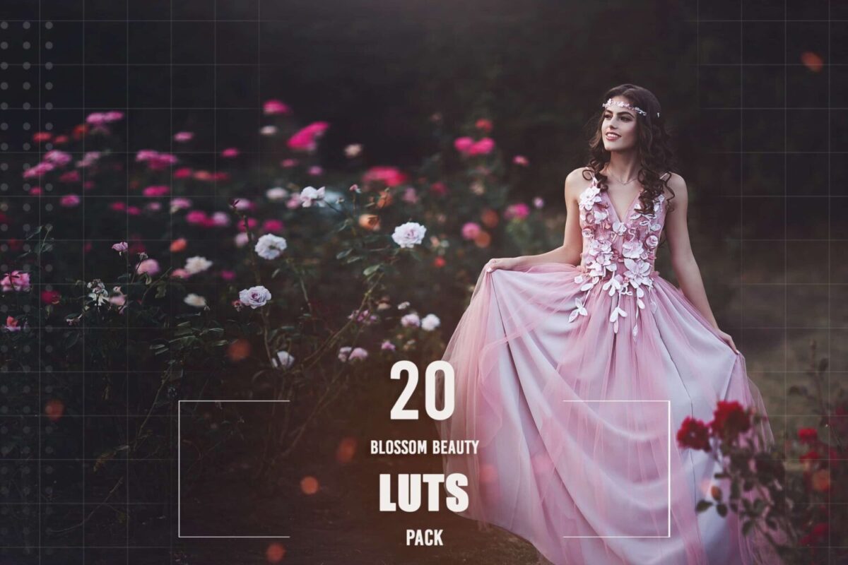 20 Blossom Beauty LUTs Pack